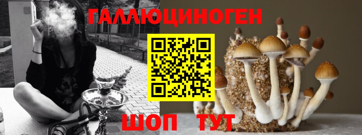 Псилоцибиновые грибы ЛСД Верхняя Салда